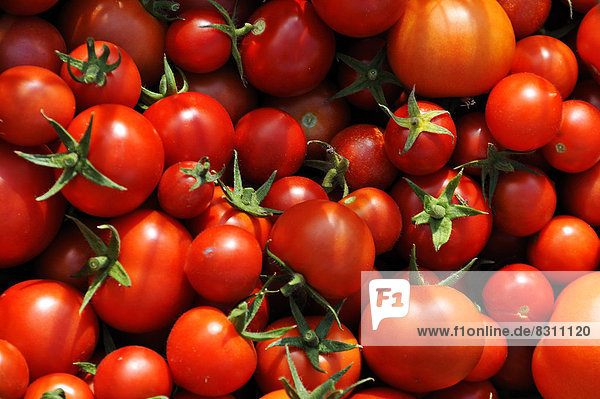 Reife Tomaten (Solanum lycopersicum)