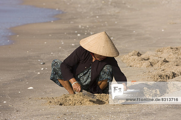 Eine vietnamesische Frau sucht am Strand nach Krabben