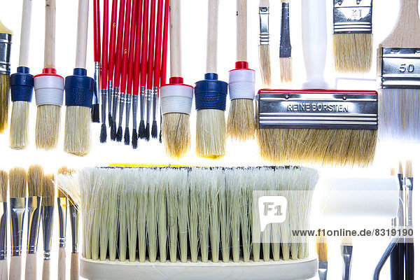 Different types of brushes and a paint roller