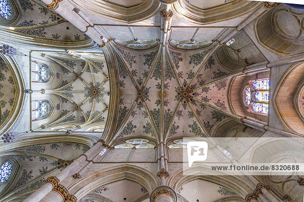 Gotisches Kreuzrippengewölbe mit floralen Fresken der Liebfrauenkirche  UNESCO-Welterbe Römische Baudenkmäler