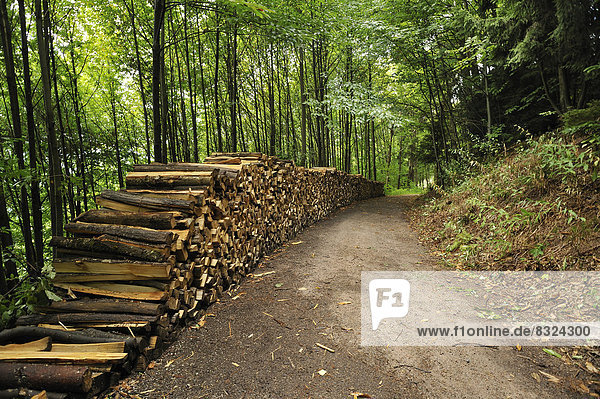 Gestapeltes Spaltholz an einem Waldweg