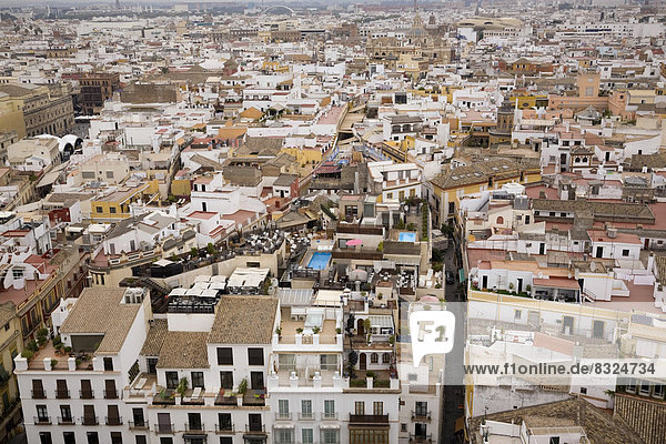 Großstadt Ansicht Sevilla