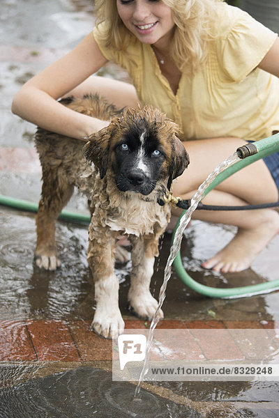 Portrait  Frau  waschen  Hund  jung