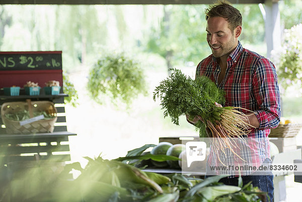 Ein Bauernstand mit frischem Bio-Gemüse und Obst. Ein Mann  der Karottenbündel hält.