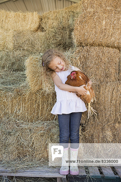 A young girl standing in a hay barn holding a chicken in her arms.