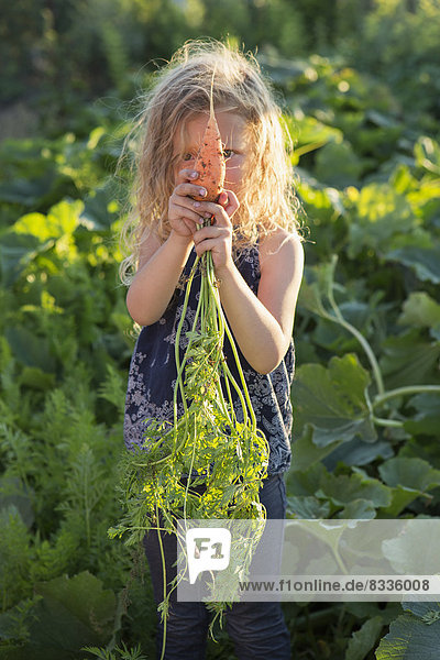 A young girl with long red curly hair outdoors in a garden  holding freshly picked carrots.