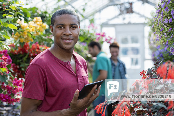 Ein kommerzielles Gewächshaus in einer Gärtnerei  die biologische Blumen anbaut. Ein Mann arbeitet mit einem digitalen Tablett.
