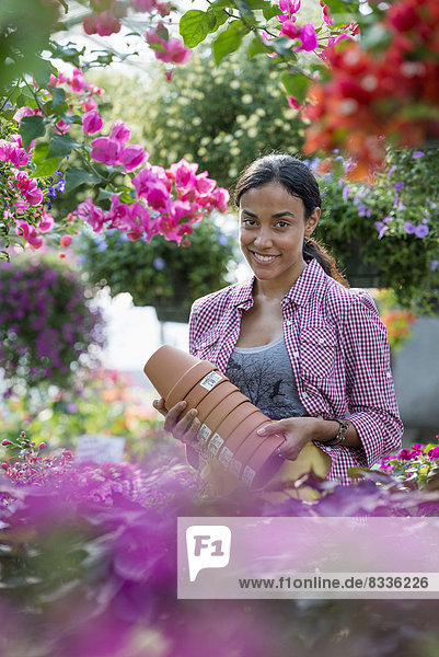 Ein kommerzielles Gewächshaus in einer Gärtnerei  die biologische Blumen anbaut. Eine Frau  die arbeitet und Töpfe trägt.