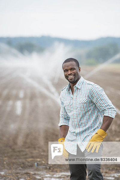An organic vegetable farm with water sprinklers irrigating the fields. A man in working clothes.