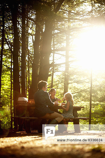 Drei Personen  eine Familie  die am späten Nachmittag an einem Picknicktisch unter Bäumen sitzt.