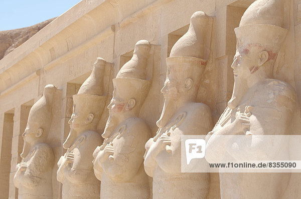 Zahlreiche Statuen der Königin Hatschepsut  Totentempel der Königin Hatschepsut  Tempelanlagen von Luxor  UNESCO-Weltkulturerbe  Theben  Luxor  Gouvernement Luxor  Ägypten