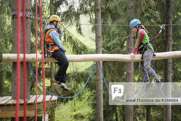 Roped up girls climbing in a climbing park  Karlovy Vary Region  Bohemia  Czech Republic