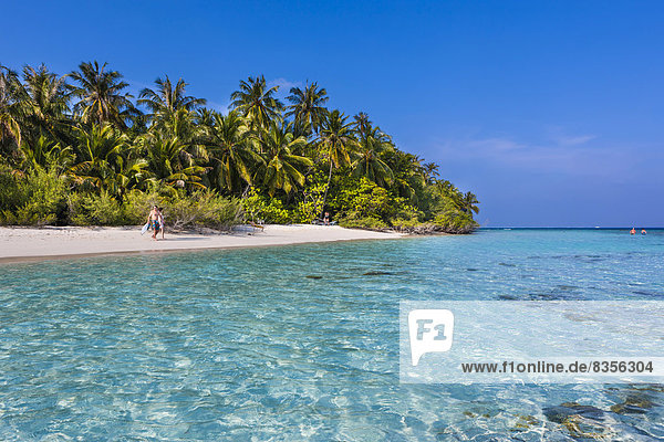Beach with palms  Embudu island  South Male Atoll  Maldives