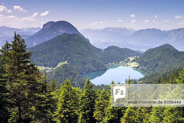Ausblick vom Wilder-Kaiser-Steig auf den Hintersteiner See  am Wilden Kaiser  Kaisergebirge  bei Ellmau  Tirol  Österreich
