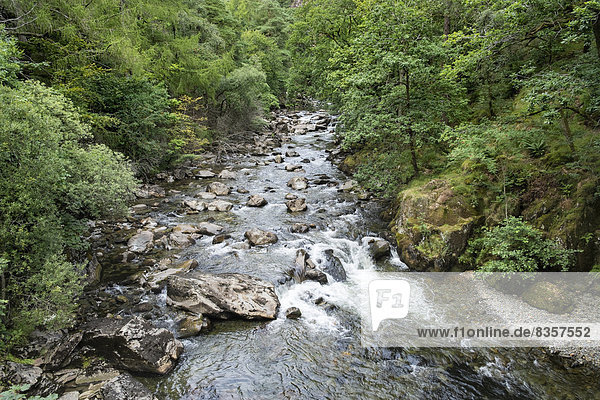 Großbritannien  Wales  Aberglaslyn Gorge  Afon Glaslyn River im Snowdonia National Park