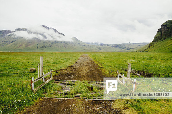 Iceland  road and gate