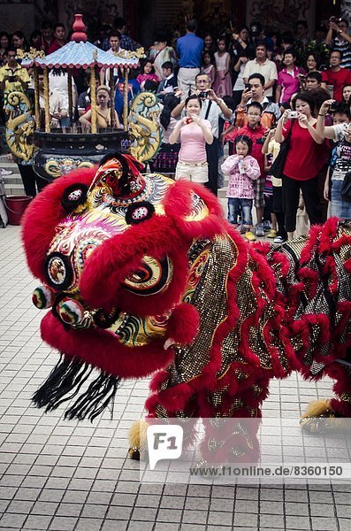 Kuala Lumpur  Hauptstadt  Löwe  Panthera leo  Fest  festlich  Tradition  tanzen  chinesisch  Südostasien  Asien  Malaysia  neu  Jahr