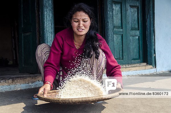 Frau  Stein  entfernen  entfernt  Reis  Reiskorn  durchsieben  sieben  Asien  Nepal