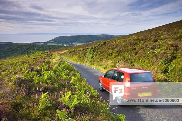 Car driving down Dunkery Hill on a small lane  Exmoor National Park  Somerset  England  United Kingdom  Europe