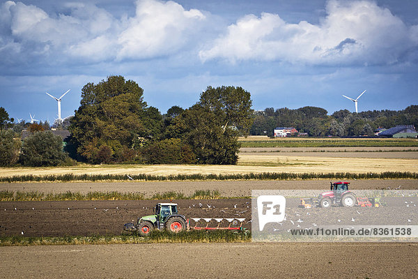 Traktoren auf dem Feld  Nordstrand  Schleswig-Holstein  Deutschland  Europa