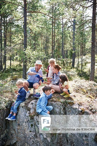 Familie sitzt auf Felsen im Wald und isst Picknick
