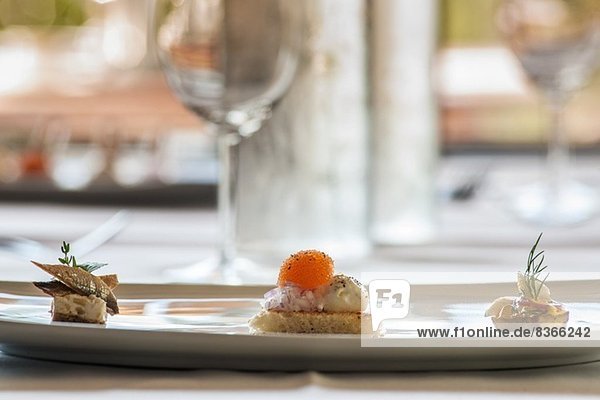 Gourmetessen auf Teller serviert