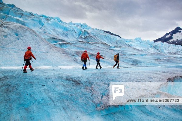 Four people walking on Mendenhall Glacier  Alaska  USA