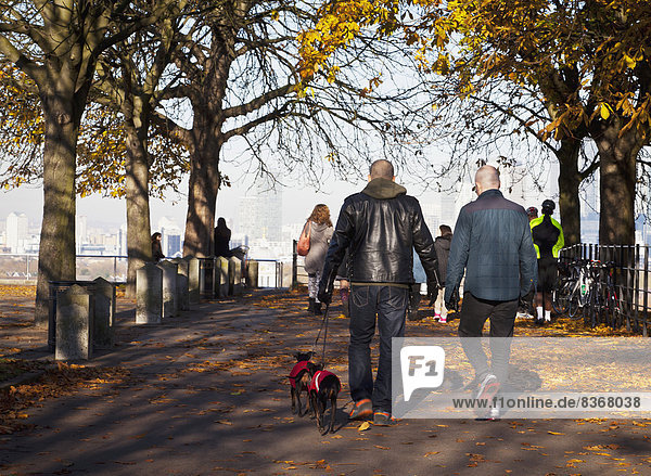 Großbritannien  London  Hauptstadt  Statue  Herbst  Ansicht  England  Greenwich