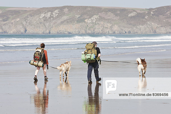 Hikers With Dogs On Newgale Beach Pembrokeshire Coast Path  Wales  United Kingdom