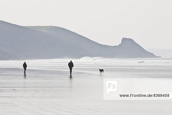 Mensch  Menschen  gehen  Strand  Großbritannien  Weg  Küste  Hund  Wales