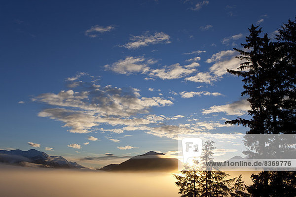 nahe  Winter  Decke  Sonnenaufgang  Nebel  Insel  Juneau  Tongass National Forest