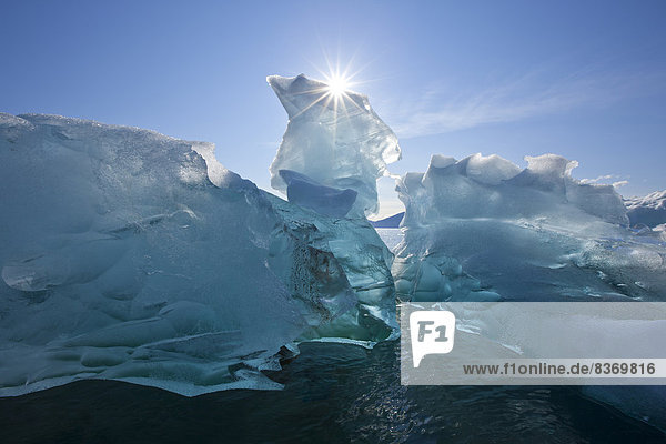 Eisberg  Wasser  Ruhe  Eingang  fließen  Herbst  Tracy Arm-Fords Terror  Bucht