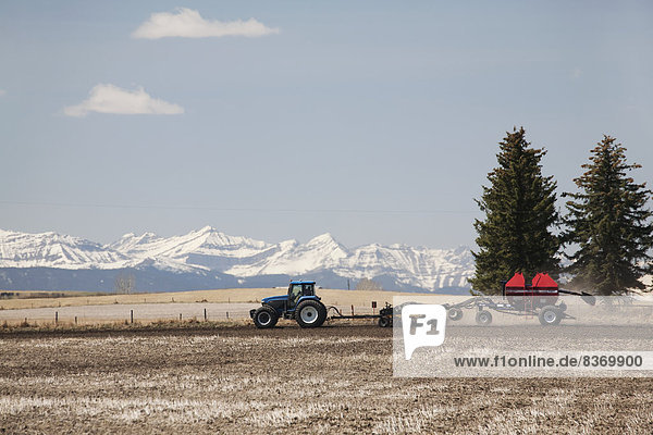 Berg  bedecken  Wolke  Himmel  Traktor  Nutzpflanze  Feld  blau  Sämaschine  Alberta  Kanada  anpflanzen  Schnee