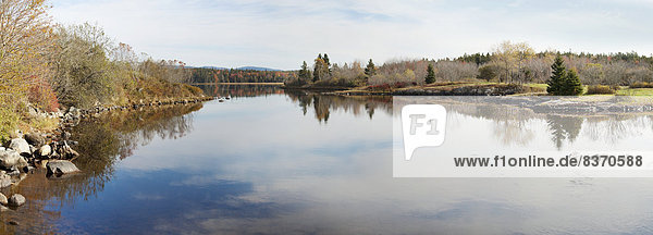 Vereinigte Staaten von Amerika  USA  Wolke  Ruhe  Baum  Spiegelung  Herbst  Maine  Teich