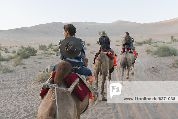 Three People Riding Camels On A Desert Landscape Jiuquan  Gansu  China