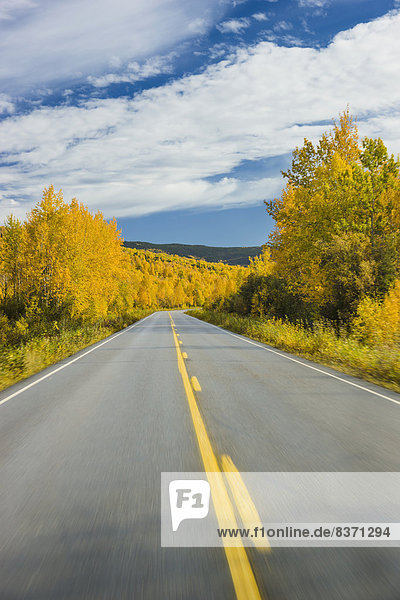 Road Detail Traveling The Steese Highway North Of Fairbanks In Autumn Fairbanks  Alaska  United States Of America