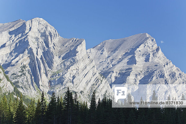 Berg  bedecken  Felsen  Wald  Kananaskis Country  Alberta  unterhalb  Kanada  kanadisch  Schnee