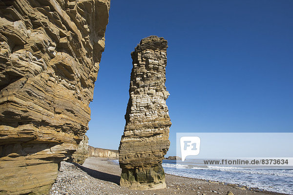 Sea Stack Known As Lot's Wife South Shields  Tyne And Wear  England