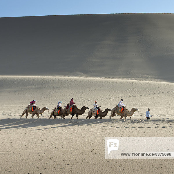 Wüste Sand Gesang Düne China