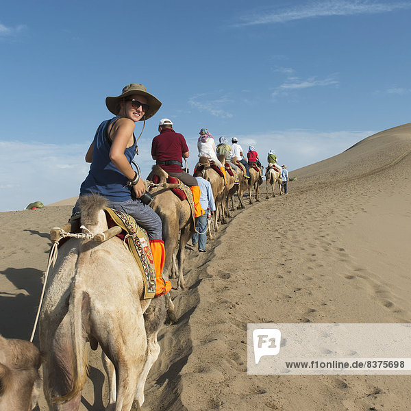Tourists Ride In A Row On Camels  Jiuquan  Gansu  China