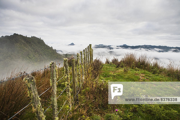 Nationalpark Morgen über Hügel Nebel Lodge Landhaus blau Ansicht Ente Neuseeland