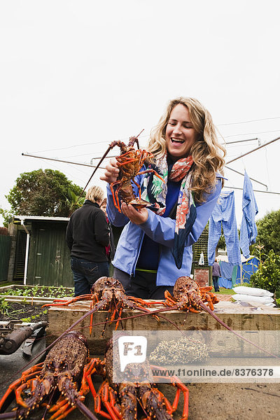 A Woman Plays With Freshly Caught Crayfish  Kaikoura  New Zealand