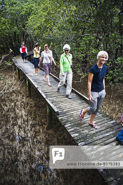 Women Walking On The Spectacular Mangrove Forest Walk At The Paihia To Opua Walking Track At The Entrance To Piahia  New Zealand