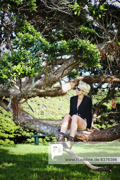 A Young Woman Sits In A Tree On An Island In The Bay Of Islands  Urupukapuka Island  New Zealand