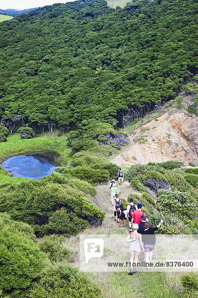A Group Of Tourists Walking In A Row Down A Trail On Urupukapuka Island  New Zealand