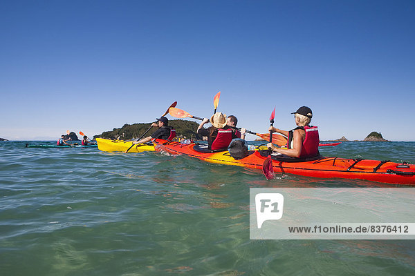 Kayaking On The Coromandel Peninsula  Hahei  New Zealand