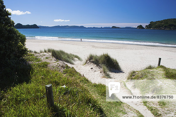 Strand  Küste  Neuseeland  Halbinsel