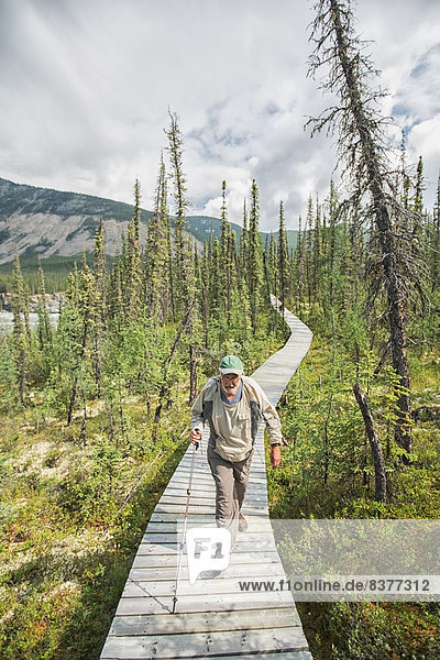 nahe  Mann  gehen  Holzweg  vorwärts  Kanada  Northwest Territories