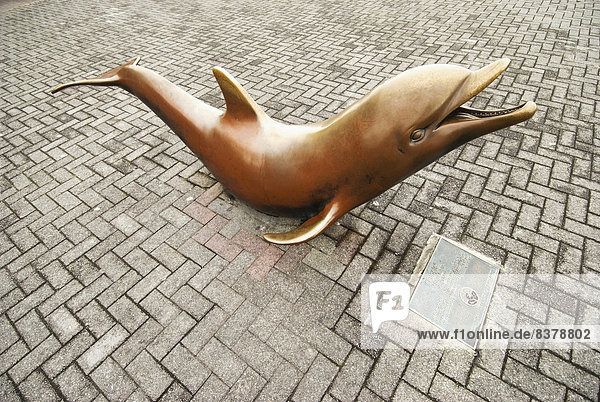 Delphin  Delphinus delphis  Stein  Skulptur  Weg  Kerry County  Bronze  Dingle  Dalbe  Irland
