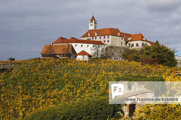 Riegersburg Castle in autumn  vineyard at front  Riegersburg  East Styria  Styria  Austria